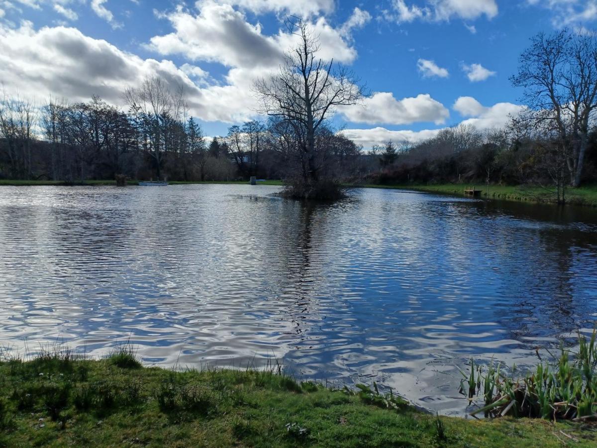 Mill Brae Fishery B-Bothy バッキー エクステリア 写真